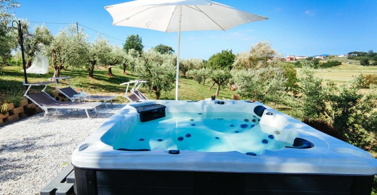 The Olive Grove In Tuscany Toiano Экстерьер фото