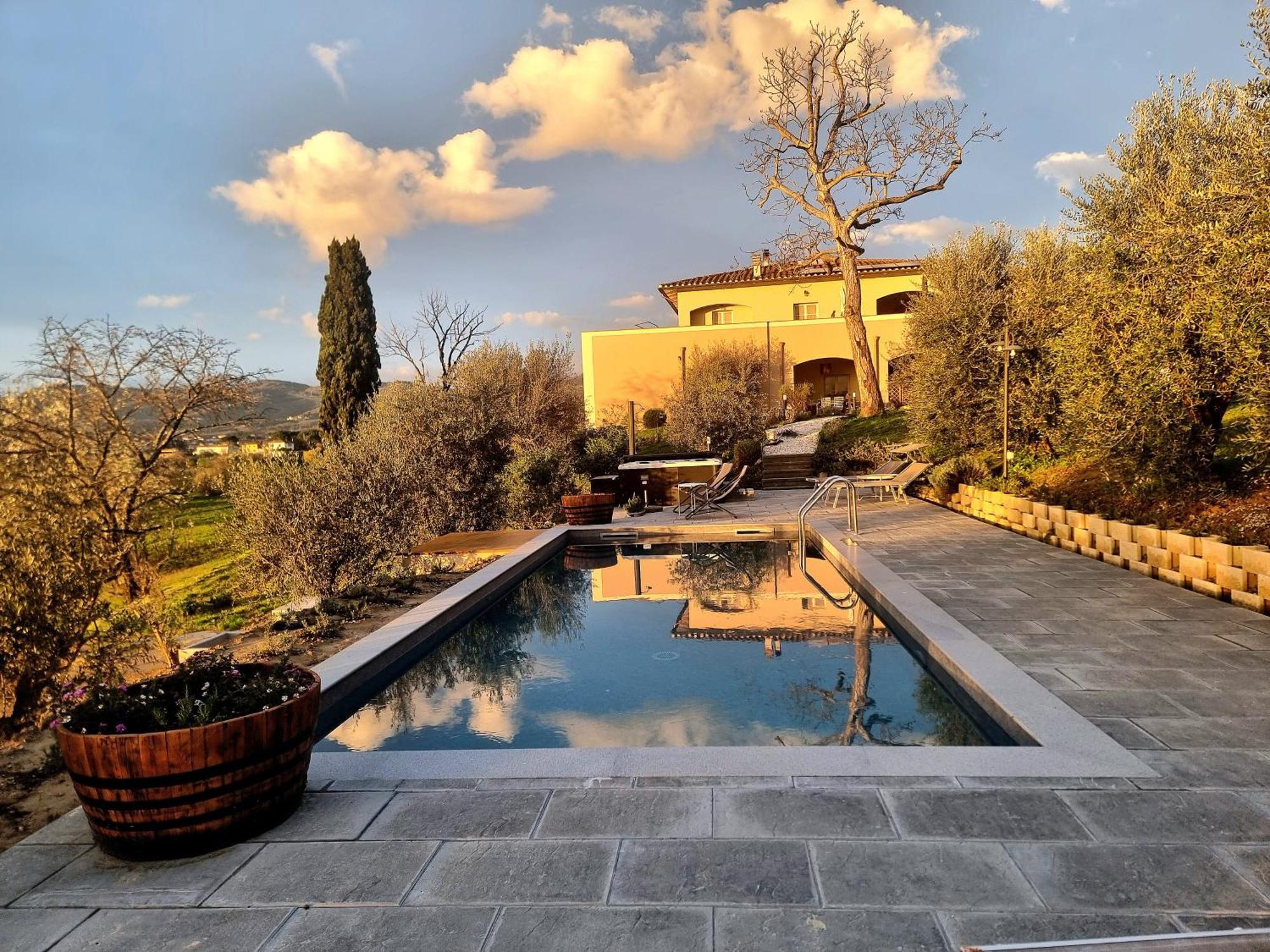 The Olive Grove In Tuscany Toiano Экстерьер фото